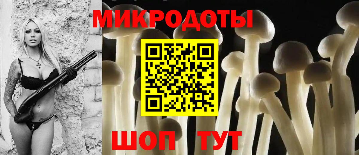даркнет сайт  Галлюциногенные грибы мухоморы  Вход с VPN  Псилоцибиновые грибы мухоморы  Назрань 
